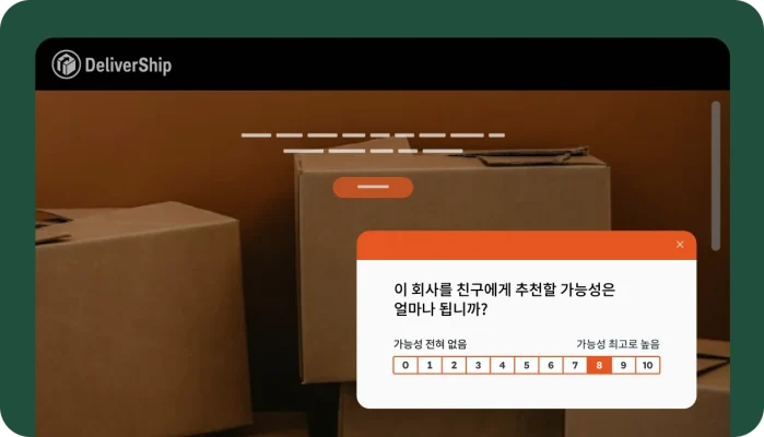 DeliverShip 추천 설문조사 팝업이 표시된 골판지 박스의 웹사이트 보기.