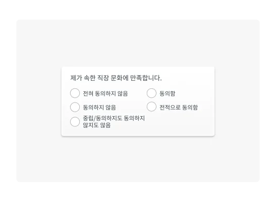 5점 단어로 된 등급 척도의 예