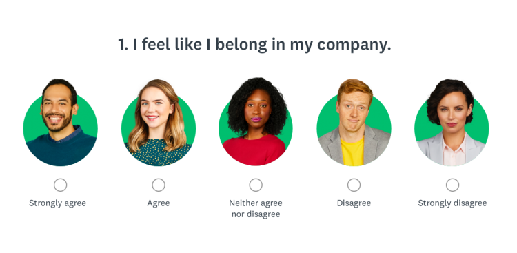 Survey asking if you feel like you belong at your company example