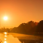 New York Times|SurveyMonkey poll: October 2019