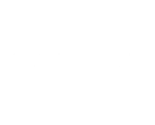Logo Carrot